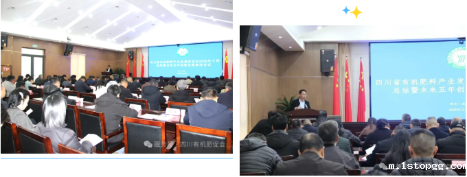 1766026222116563.png 36203a44069bb728b60120be988c5fd4.png