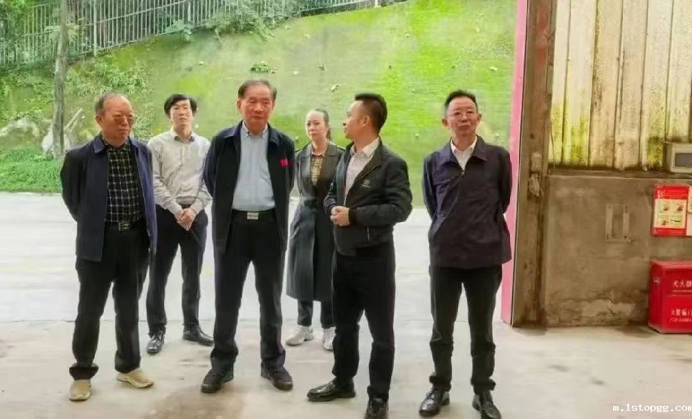 1749784748176531.jpg 绿色耕耘1.jpg