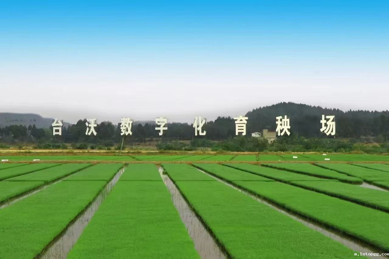 1749784808152496.jpg 绿色耕耘4.jpg